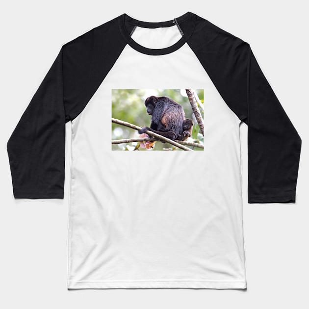 Howler monkeys - Costa Rica Baseball T-Shirt by Jim Cumming